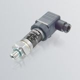 Trafag NAP 8842/8843 Pressure Transmitter Turkey