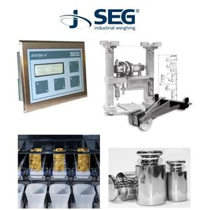 Seg Seg A2-N-4-V-A14-GB Weight İndicator System Turkey