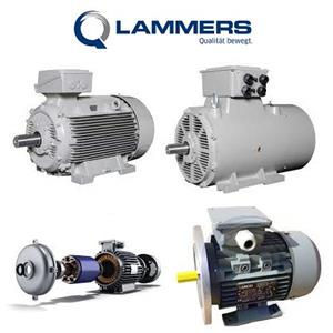 Lammers 1TZ9003-1CA6 Squirrel Cage Motor