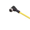 Ifm Electronic Ifm E10190 ADOAA030MSS0002E03 Connector Cable