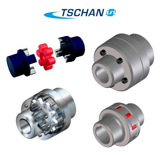 Tschan Type WS052301 (drilled) Turkiye