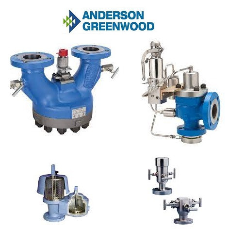 Anderson Greenwood 81S1NU12D24A-HL Pressure Relief Valve Turkiye