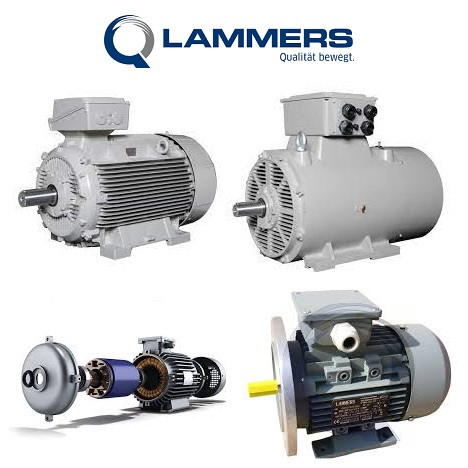 Lammers 070600-FL210A007 Suction Filter Turkiye