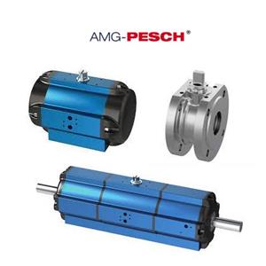 Amg Pesch AMG-PESCH BR16 SAFs 15 Actuator Turkiye