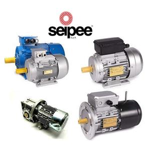 Seipee Seipee JMK 63B 4 B5 Electric Motor Turkiye
