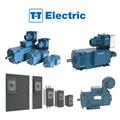 T-T Electric AMP225 AC Motor