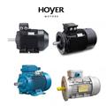 Hoyer Hoyer IE3-HMC3 3551-2 315 kW Complete New Motor