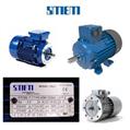 Smem Smem 6SM 90L4 Motor
